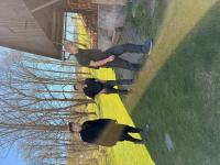 image17.jpeg