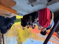 image22.jpeg